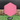 Six Sided Discs Hexagon - Base Pink
