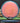 Armory Disc Golf Shop Used Disc Golf Discs Halo Champion Leopard 3 8/10 Ink Pink/Blue/Gold 176g
