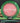 Armory Disc Golf Shop Used Disc Golf Discs Halo Star Destroyer 8/10/ Pink/Green 175.5g
