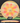 Armory Disc Golf Shop Used Disc Golf Discs Innova Champion Teebird TieDye/gold 9/10 ink 174.3g