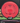 Armory Disc Golf Shop Used Disc Golf Discs MVP Neutron Orbital red/7/10 ink 171.7g