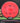Armory Disc Golf Shop Used Disc Golf Discs MVP Neutron Orbital Red/Black 171.7g