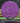 Armory Disc Golf Shop Used Disc Golf Discs MVP Neutron Uplink Purple/8/10 167.5g