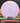 Axiom Envy Fission lilac-orange 152.3g