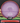 Axiom Envy Proton Purple/Orange 174g