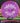 Axiom Hex Neutron Soft Purple-Marron 178.3g