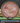 Axiom Hex Proton Burnt Sienna/Teal 176g