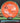 Axiom Hex Proton Orange/Aqua/Black/Silver 171.4g