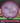 Axiom Hex Proton Purple/Orange 169g