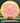 Axiom Mayhem Plasma Salmon-Dayglow 169g