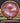 Axiom Rhythm Proton Maroon/Orange/Silver/Black 167g
