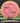 Axiom Virus Fission Pink/Dayglow/Black-Silver 165g