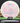 DGA Hypercane Tour Series Swirl marbled rose/metal brushed 174.1g