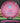 Discmania FD C-Line Dark Pink/Aqua 174g