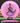 Discmania Function Neo pink/purple 175g