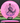 Discmania Function Neo pink/purple 176g