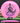 Discmania Function Neo pink/purple 176g