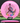Discmania Function Neo pink/rainbow 174g