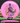 Discmania Function Neo pink/rainbow 176g