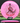 Discmania Function Neo pink/red 175g