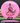 Discmania Function Neo pink/red 176g
