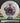 Discmania Origin C-Line White/Pink-Wonder Bread 176.0g