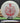 Discmania Q-Line Cloud Breaker - Gannon Buhr Signature Series White/Red 174.1g
