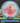 Discraft Buzzz FuZed clear/blue & red 177.3g