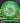 Discraft Buzzz Z FLX green/money 178.1g