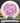 Discraft Luna Hard white/magenta