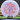 Discraft Raptor ESP lilac/red 173.7g