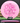 Discraft Raptor ESP pink/magenta 173.7g