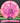 Discraft Roost CT Swirl pink/magenta 173.4g
