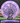 Discraft Roost CT Swirl purple-pink/black 174.7g