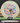 Discraft Xtreme Z Glo green/jellybean 160.4g