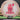 Discraft Confetti Nuke
