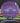 Dynamic Discs Contender Lucid Lucid Purple/Light Purple 174.6g