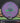Dynamic Discs Warden Purple-Black/Green 172.5g
