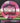 Elevation Discs Elevation Screech 200 Eco Flex Brambleberry/Black 172.5g