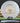 Innova Arachnid Star Star White/Gold 176.8g