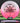 Innova Destroyer Eveliina Pink/White/Gold/Black 174.6g