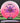 Innova Destroyer Eveliina Pink/White/Purple/Multi Color 175.5g