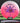 Innova Destroyer Eveliina Pink White/Rainbow/Purple 174.9g
