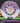 Innova Eagle purple & white/gold holo 174.8g