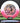 Innova Leopard Pink/White/Gold/Black 174.9g