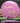 Innova Leopard Pro Pink/Gold 165g