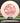Innova Leopard Star Peach/Red 163g