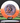 Innova Leopard White-Orange/Black-Lilac 173g