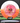 Innova Leopard White-Orange/Red-Silver 174.1g