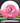 Innova Leopard White-Pink/Red-White 175.6g